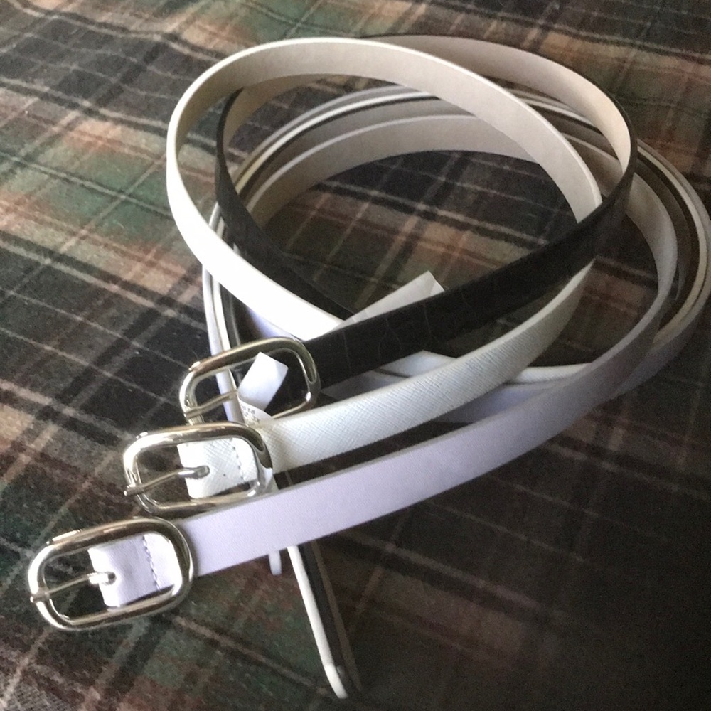 NWT Three Belt Set
